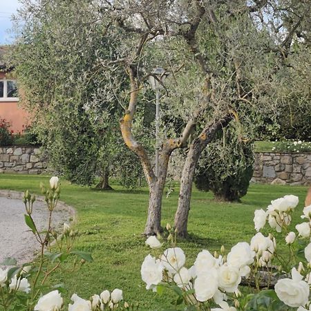 فيلا La Casa Delle Rose تيرانووفا براتشولي المظهر الخارجي الصورة